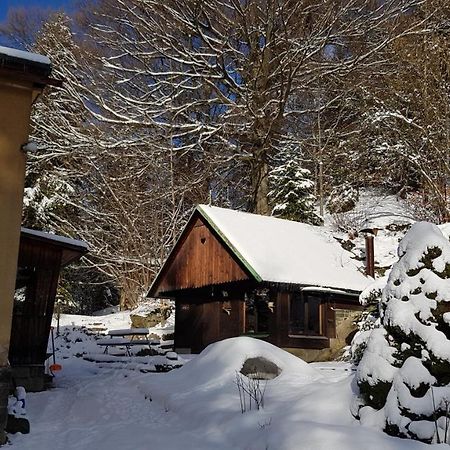 Ubytovani U Trudy Smržovka Dış mekan fotoğraf